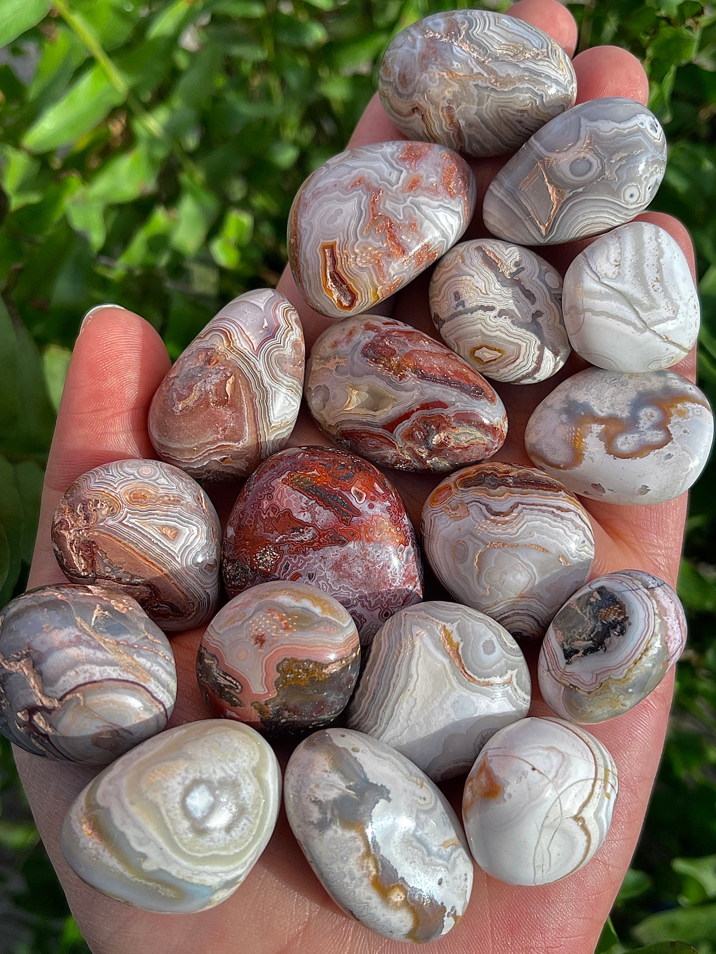 Tumbled Crazy Lace Agate