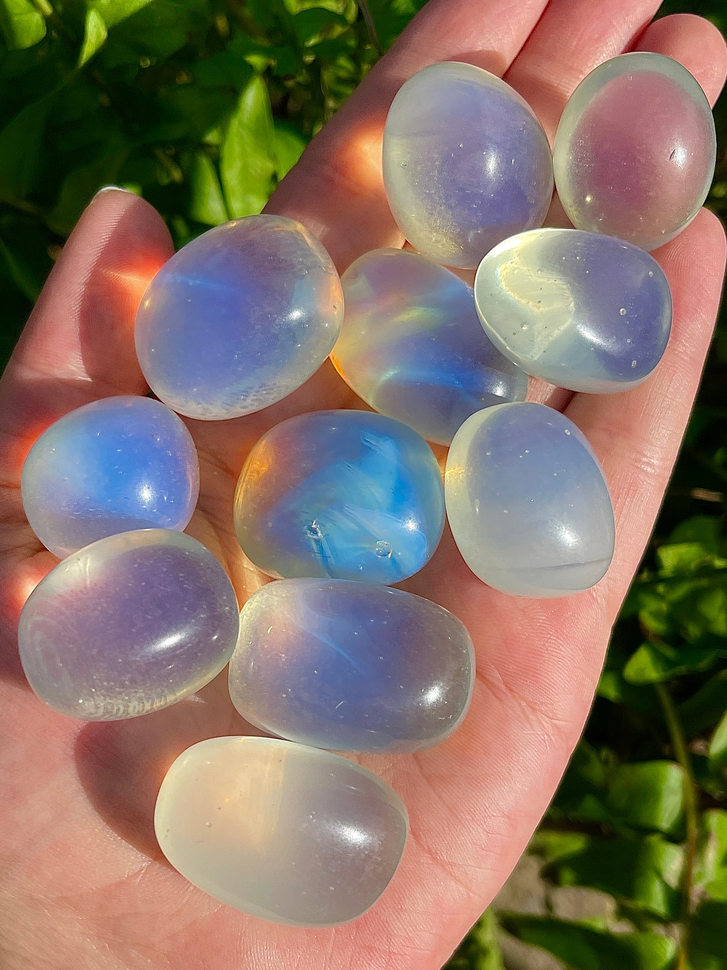 Tumbled Opalite