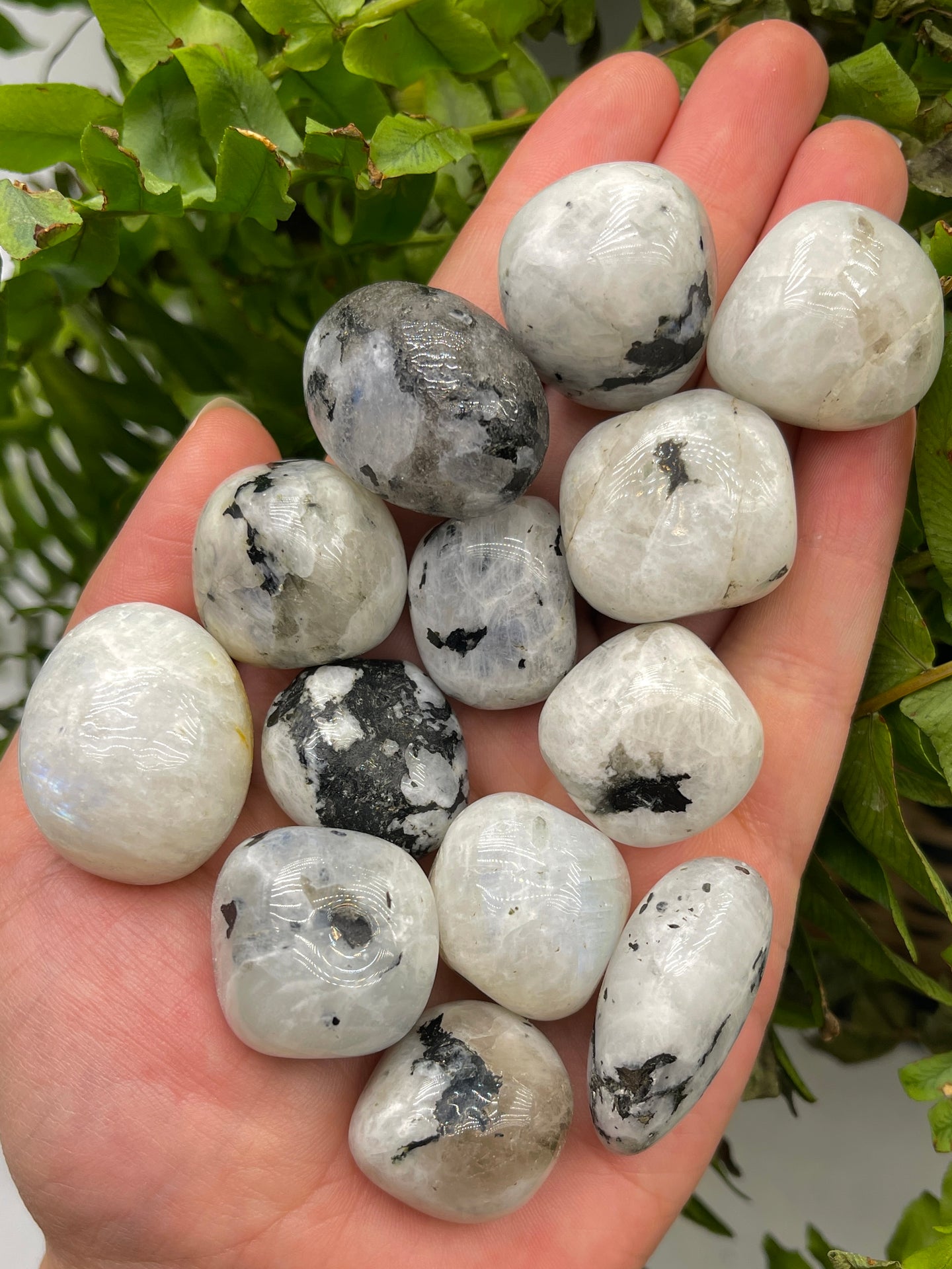 Tumbled Moonstone