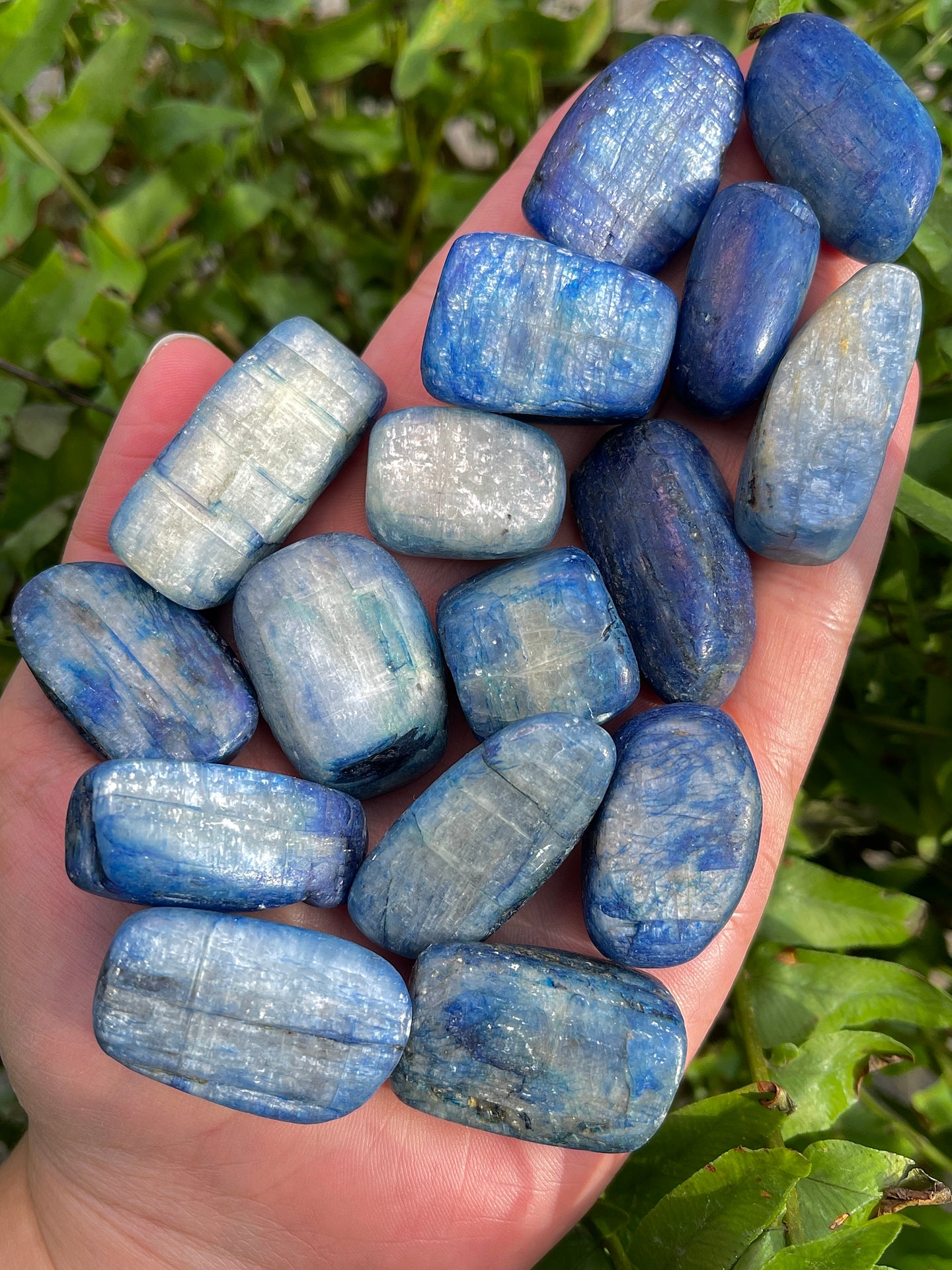 Tumbled Blue Kyanite