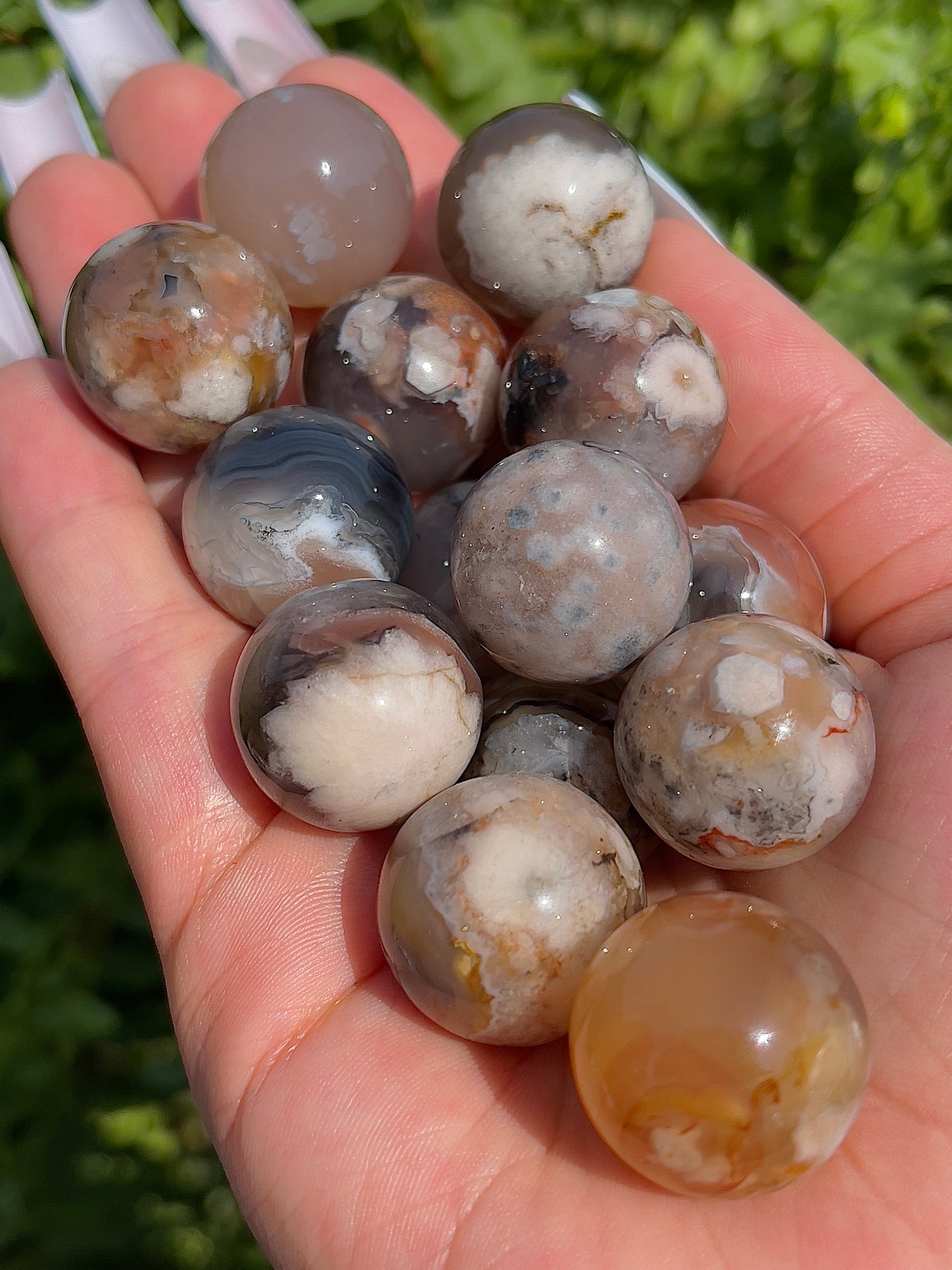 Black Flower Agate Mini Spheres