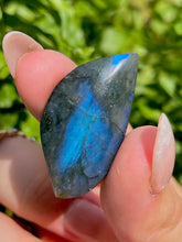 Load image into Gallery viewer, ⊹ Leaf Shaped Labradorite Cabachons, Full Flash ⊹ Choose Your Own ⊹
