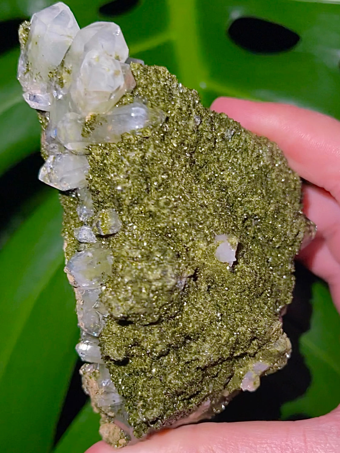 Large Fairy Forest Epidote Cluster