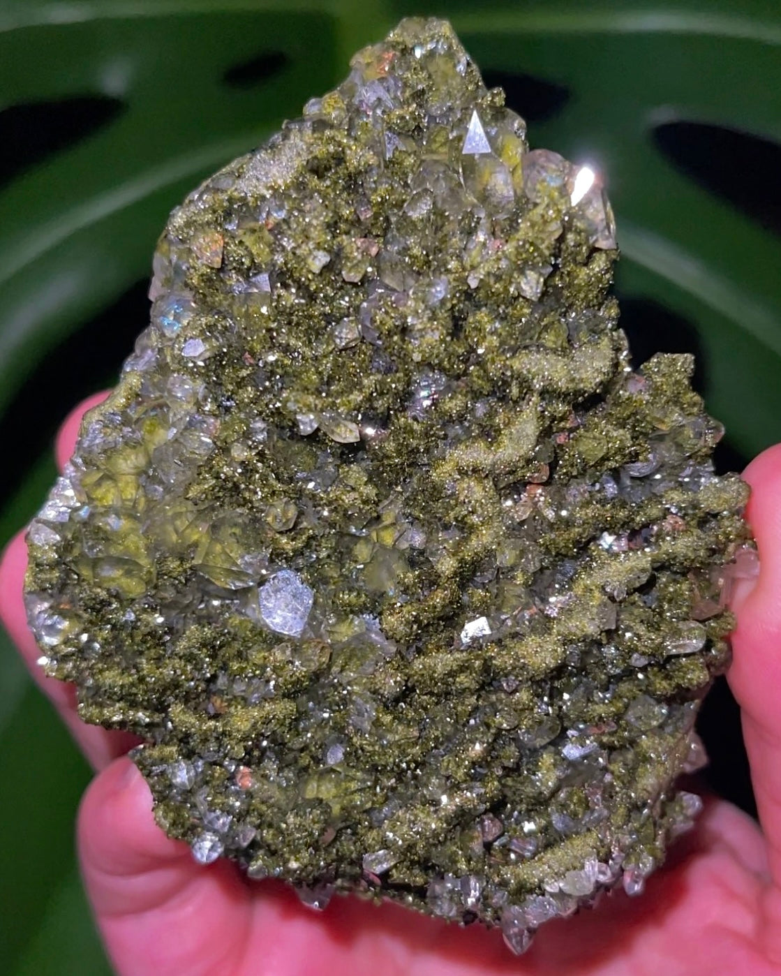 Large Fairy Forest Epidote Cluster