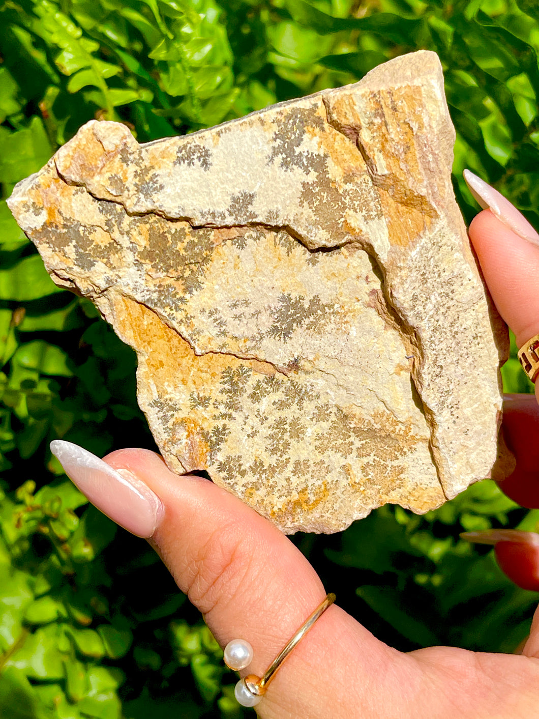 ⊹ Raw Dendritic Limestone ⊹ Found Personally by the Shop Owner ⊹