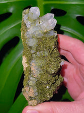 Load image into Gallery viewer, Large Fairy Forest Epidote Cluster
