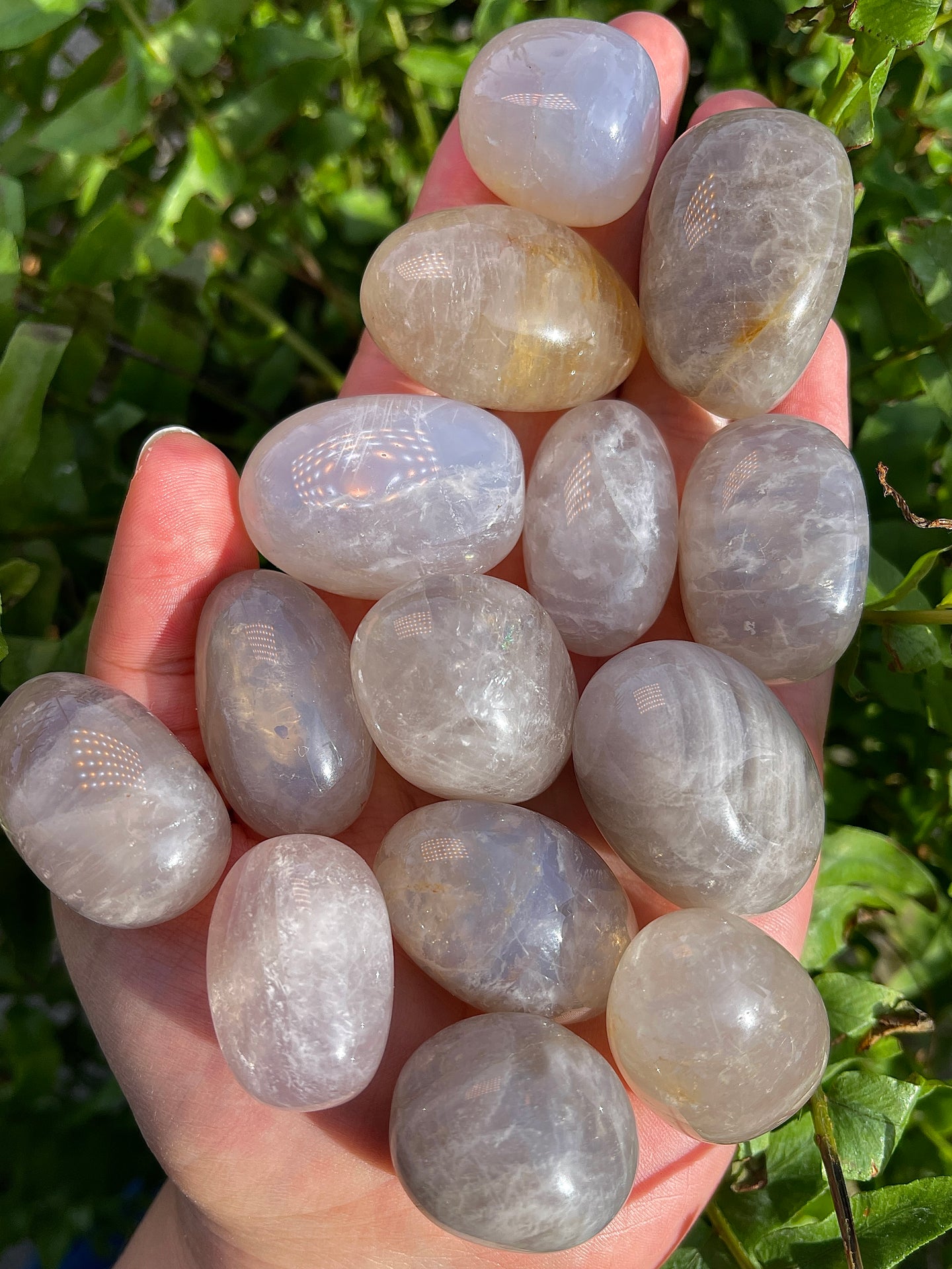 Tumbled Blue Rose Quartz